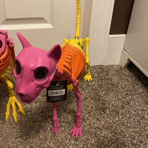 Ashland Halloween Hippie Hallow Skeleton Animals Buzzard Rat 2 Cats Decor NWT - Picture 2 of 6